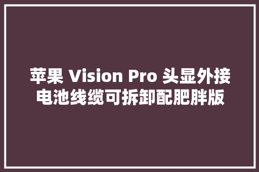 苹果 Vision Pro 头显外接电池线缆可拆卸配肥胖版