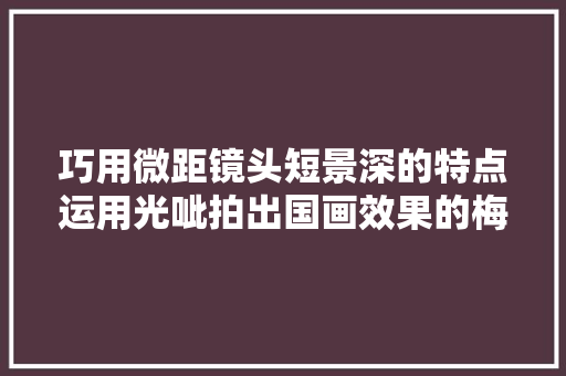 巧用微距镜头短景深的特点运用光呲拍出国画效果的梅花