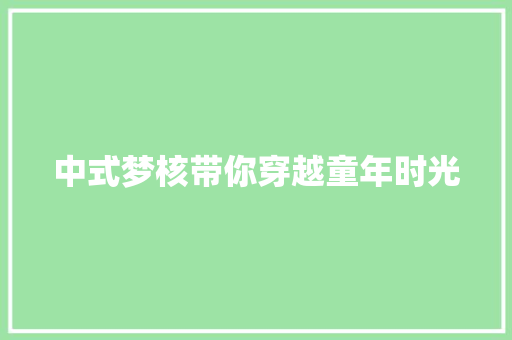 中式梦核带你穿越童年时光