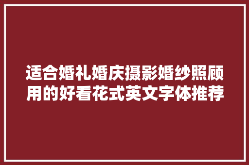 适合婚礼婚庆摄影婚纱照顾用的好看花式英文字体推荐下载