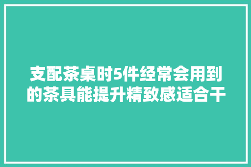 支配茶桌时5件经常会用到的茶具能提升精致感适合干泡台