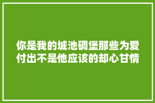 你是我的城池碉堡那些为爱付出不是他应该的却心甘情愿1