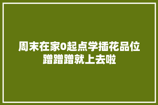 周末在家0起点学插花品位蹭蹭蹭就上去啦