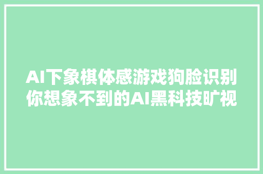 AI下象棋体感游戏狗脸识别你想象不到的AI黑科技旷视都集齐了