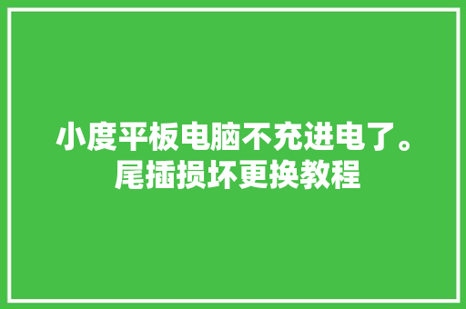 小度平板电脑不充进电了。 尾插损坏更换教程