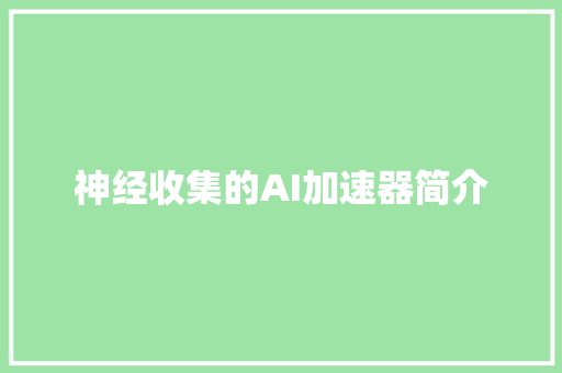 神经收集的AI加速器简介