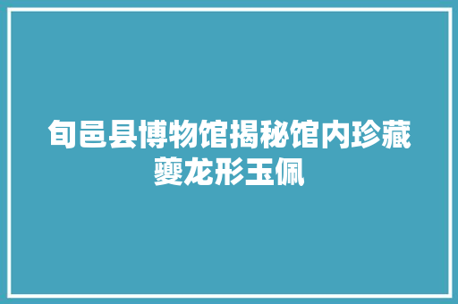 旬邑县博物馆揭秘馆内珍藏夔龙形玉佩