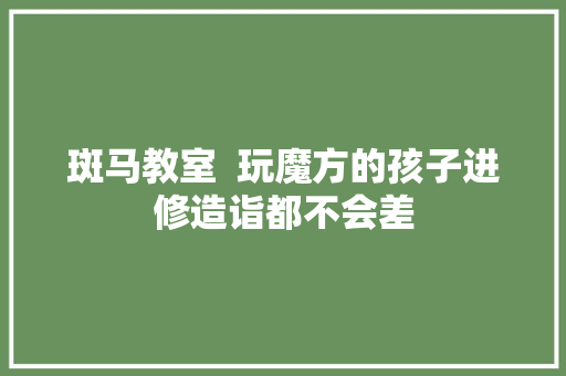 斑马教室  玩魔方的孩子进修造诣都不会差