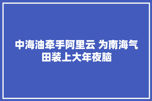 中海油牵手阿里云 为南海气田装上大年夜脑