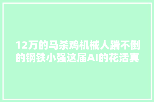 12万的马杀鸡机械人踹不倒的钢铁小强这届AI的花活真的能落地了  直击WAIC 2024