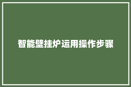 智能壁挂炉运用操作步骤