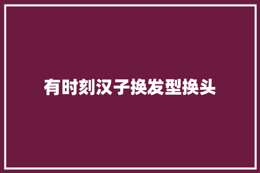 有时刻汉子换发型换头