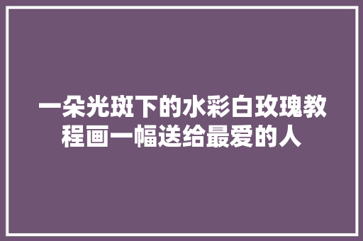 一朵光斑下的水彩白玫瑰教程画一幅送给最爱的人