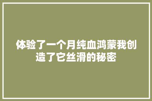 体验了一个月纯血鸿蒙我创造了它丝滑的秘密