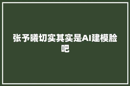 张予曦切实其实是AI建模脸吧