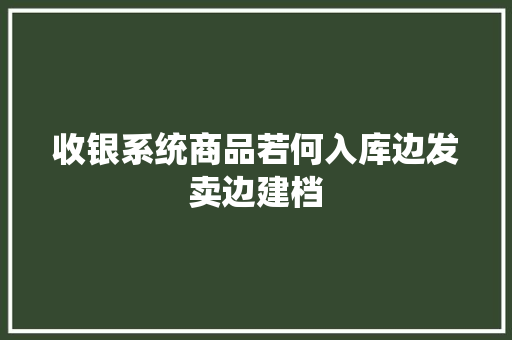 收银系统商品若何入库边发卖边建档