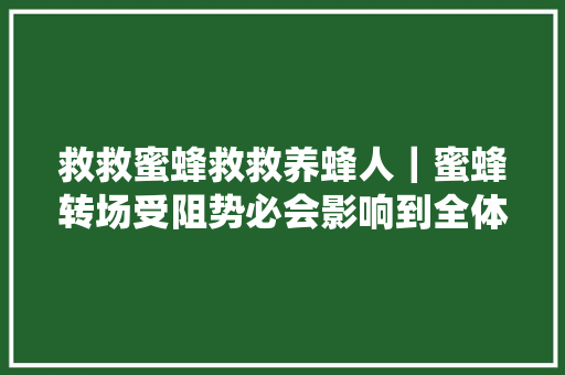 救救蜜蜂救救养蜂人｜蜜蜂转场受阻势必会影响到全体农业系统