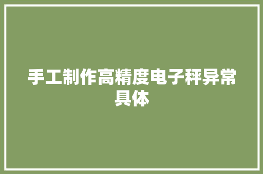 手工制作高精度电子秤异常具体