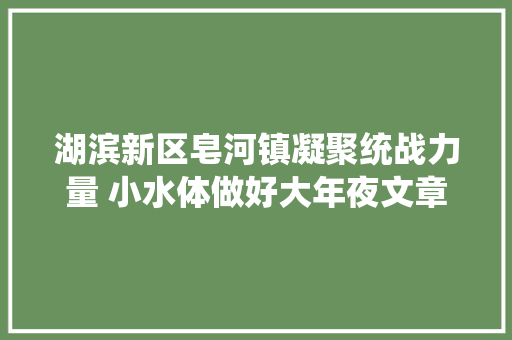 湖滨新区皂河镇凝聚统战力量 小水体做好大年夜文章