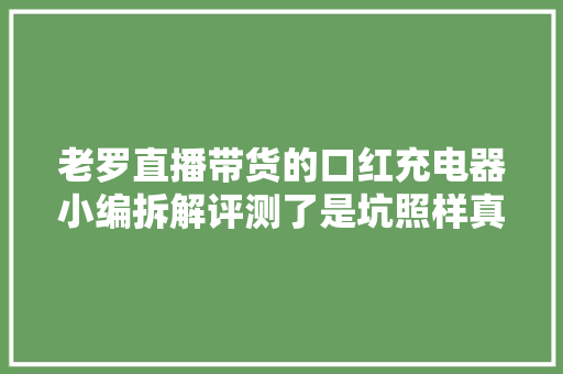 老罗直播带货的口红充电器小编拆解评测了是坑照样真喷鼻香