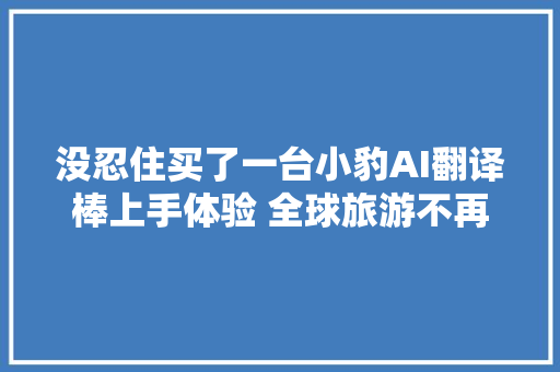 没忍住买了一台小豹AI翻译棒上手体验 全球旅游不再是梦