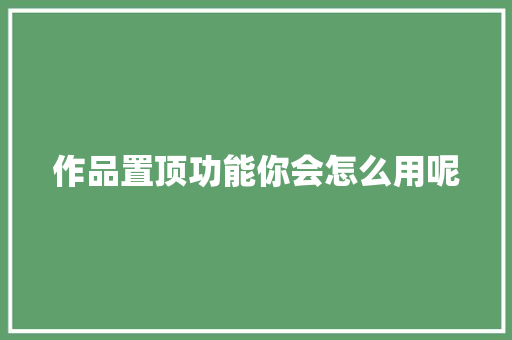 作品置顶功能你会怎么用呢