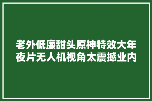 老外低廉甜头原神特效大年夜片无人机视角太震撼业内人士成本动听