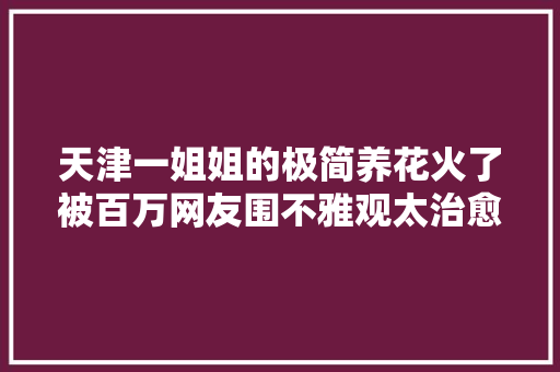 天津一姐姐的极简养花火了被百万网友围不雅观太治愈了