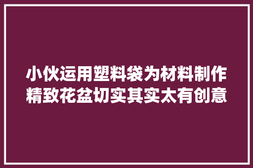 小伙运用塑料袋为材料制作精致花盆切实其实太有创意了手工diy