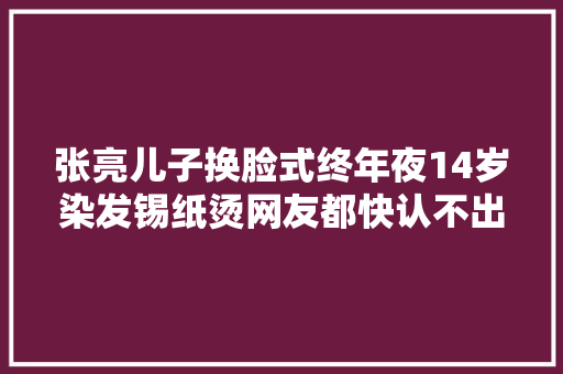 张亮儿子换脸式终年夜14岁染发锡纸烫网友都快认不出来了