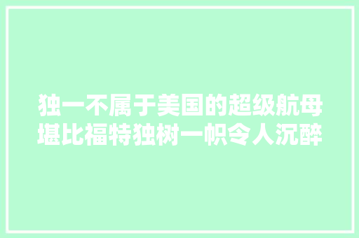 独一不属于美国的超级航母堪比福特独树一帜令人沉醉的三号舰