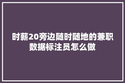 时薪20旁边随时随地的兼职数据标注员怎么做