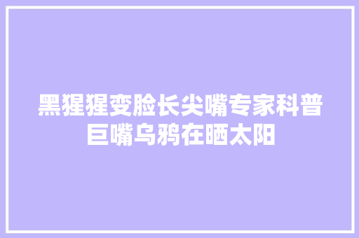 黑猩猩变脸长尖嘴专家科普巨嘴乌鸦在晒太阳