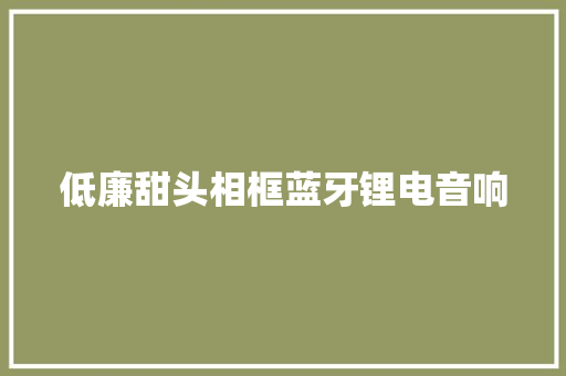 低廉甜头相框蓝牙锂电音响