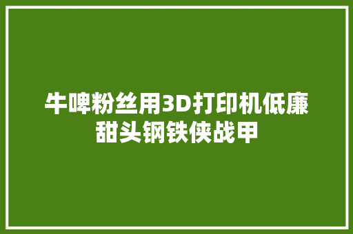 牛啤粉丝用3D打印机低廉甜头钢铁侠战甲