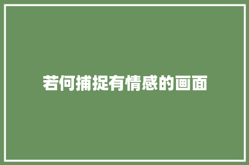 若何捕捉有情感的画面