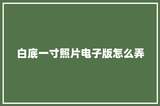 白底一寸照片电子版怎么弄