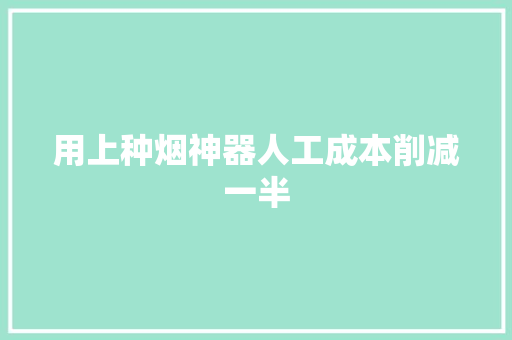 用上种烟神器人工成本削减一半