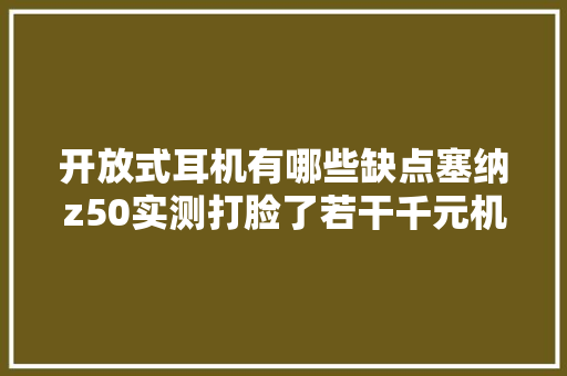 开放式耳机有哪些缺点塞纳z50实测打脸了若干千元机的音质