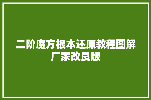 二阶魔方根本还原教程图解厂家改良版