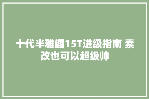 十代半雅阁15T进级指南 素改也可以超级帅