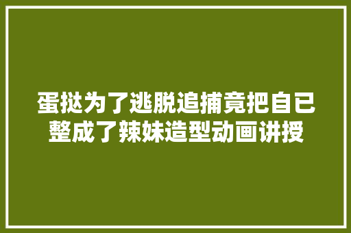 蛋挞为了逃脱追捕竟把自已整成了辣妹造型动画讲授