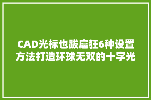 CAD光标也跋扈狂6种设置方法打造环球无双的十字光标｜CAD技巧