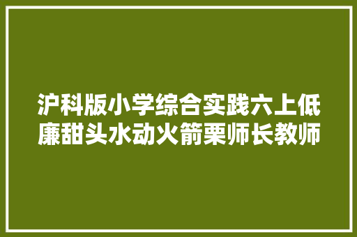 沪科版小学综合实践六上低廉甜头水动火箭栗师长教师全国一等