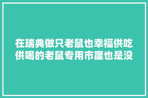 在瑞典做只老鼠也幸福供吃供喝的老鼠专用市廛也是没谁了