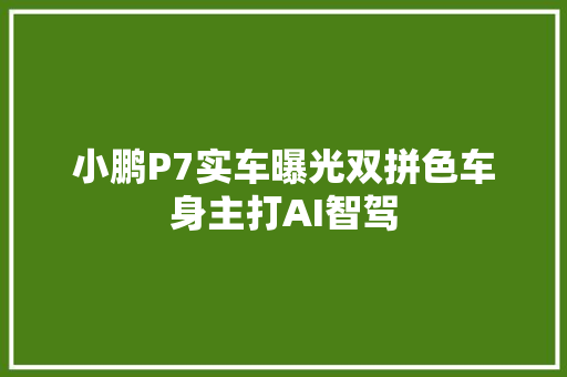 小鹏P7实车曝光双拼色车身主打AI智驾