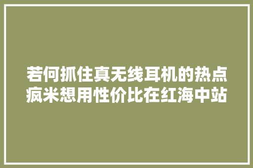 若何抓住真无线耳机的热点疯米想用性价比在红海中站稳脚跟