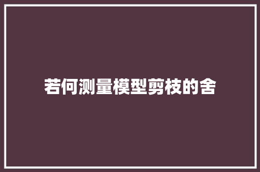 若何测量模型剪枝的舍