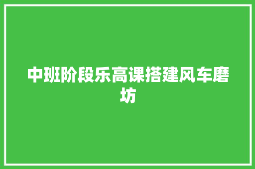 中班阶段乐高课搭建风车磨坊