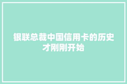 银联总裁中国信用卡的历史才刚刚开始